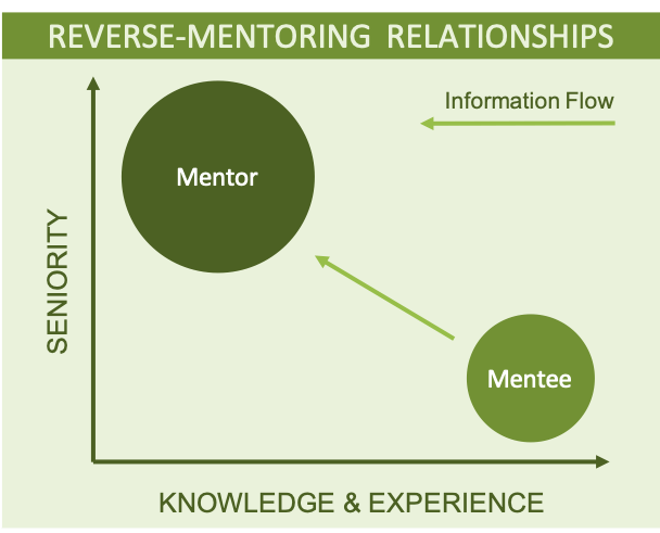 Diagram showing skills and knowledge in reverse mentoring in work