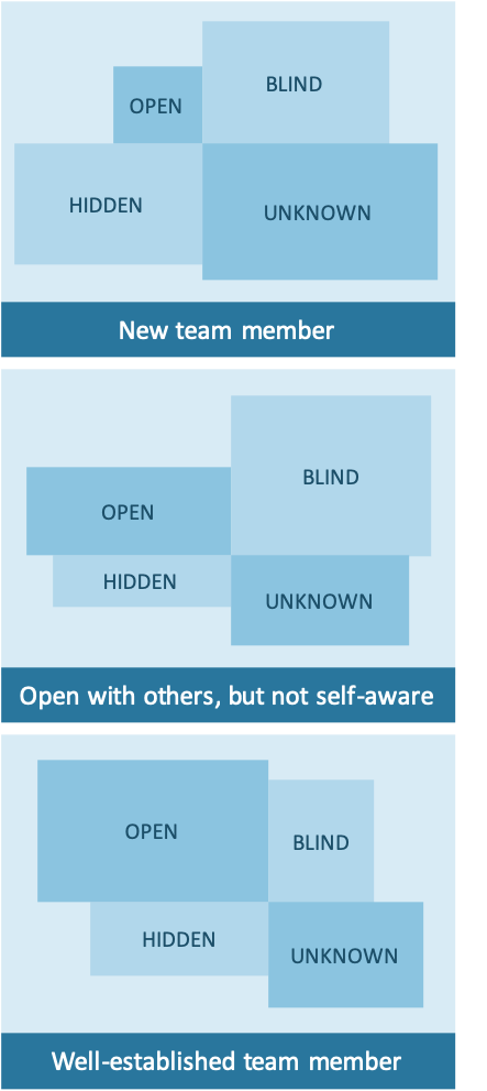 Examples of how The Johari Window might look
