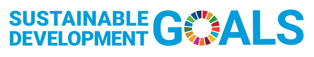 The UN Sustainable Development Goals logo